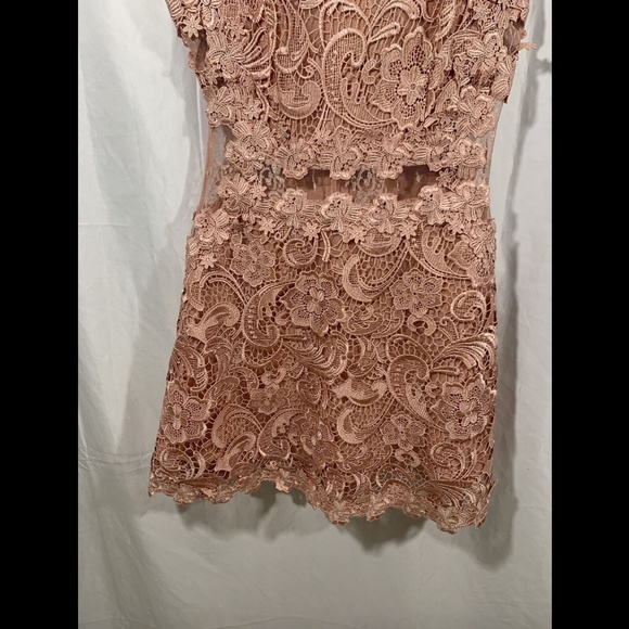 NEW $190 Topshop Scallop Lace Dress in Rose Pink - Picture 8 of 12